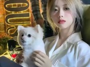 暗流之下，谁在喂养我们心中的恶兽？我想毁了一个主播怎样弄